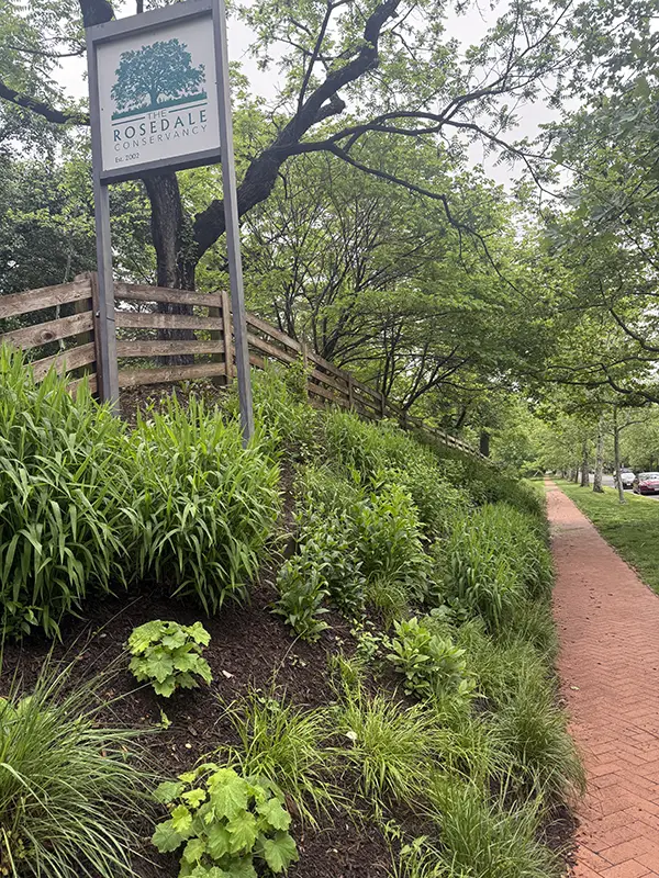 Phase 1, three years later.