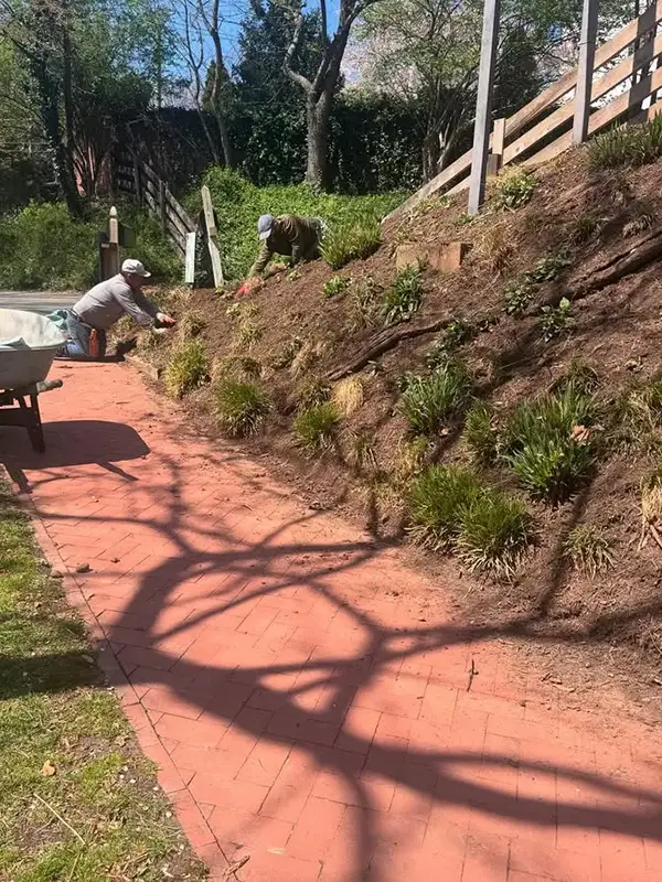 Phase 1, steep slope work